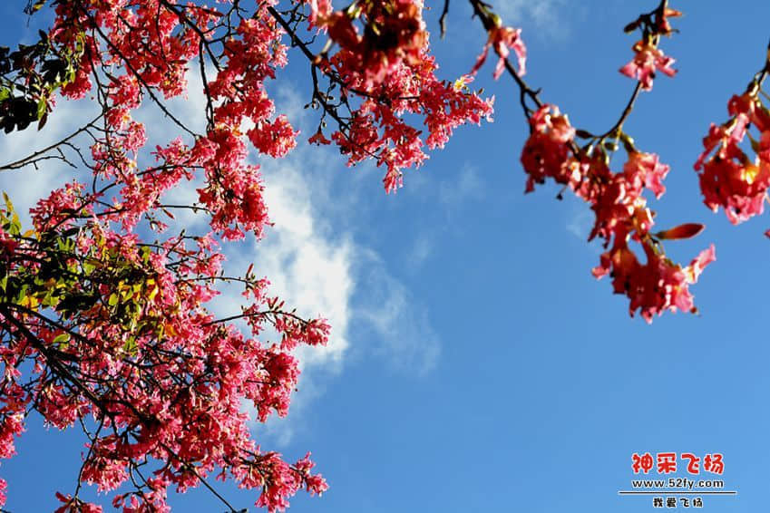 DSC_9708.JPG