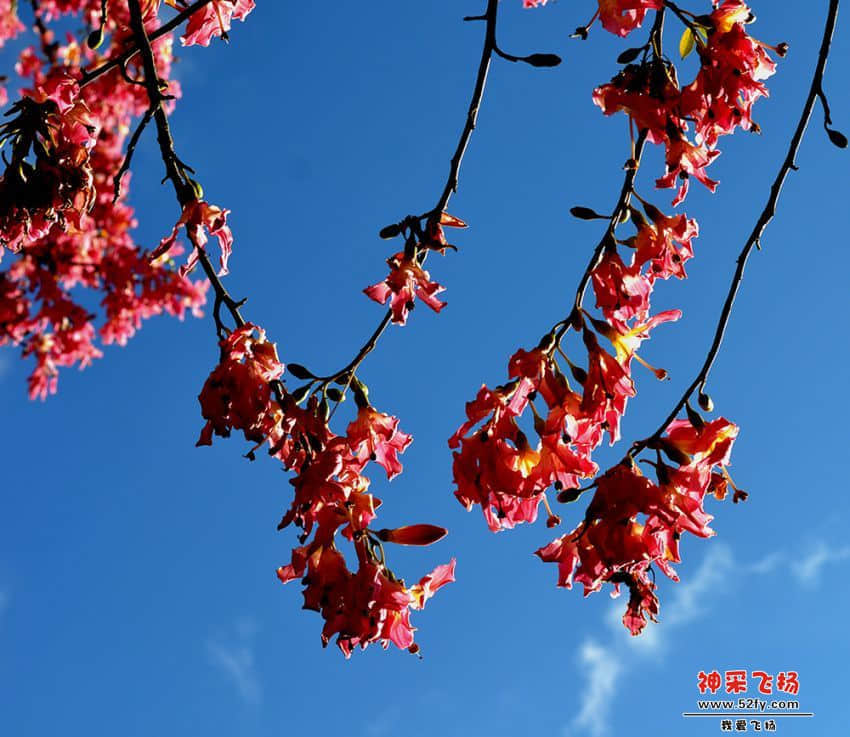 复件 DSC_9707.JPG