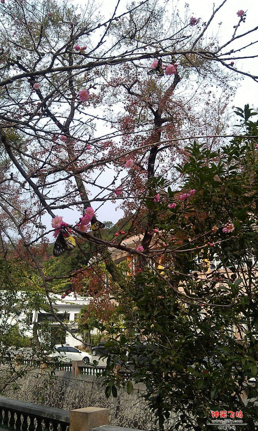 IMAG0023.jpg
