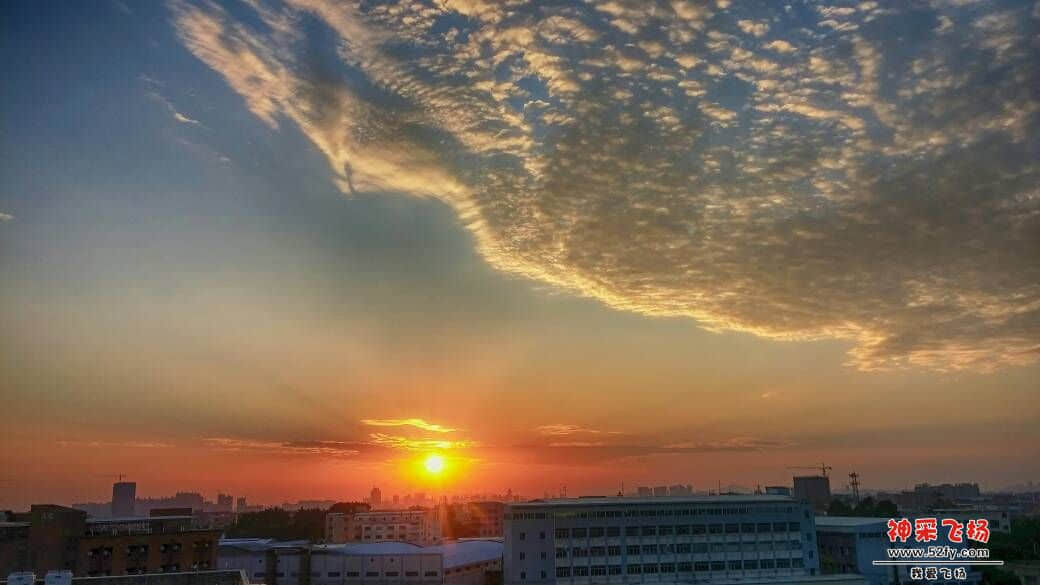 074840auxczeeessq9eooe.jpg
