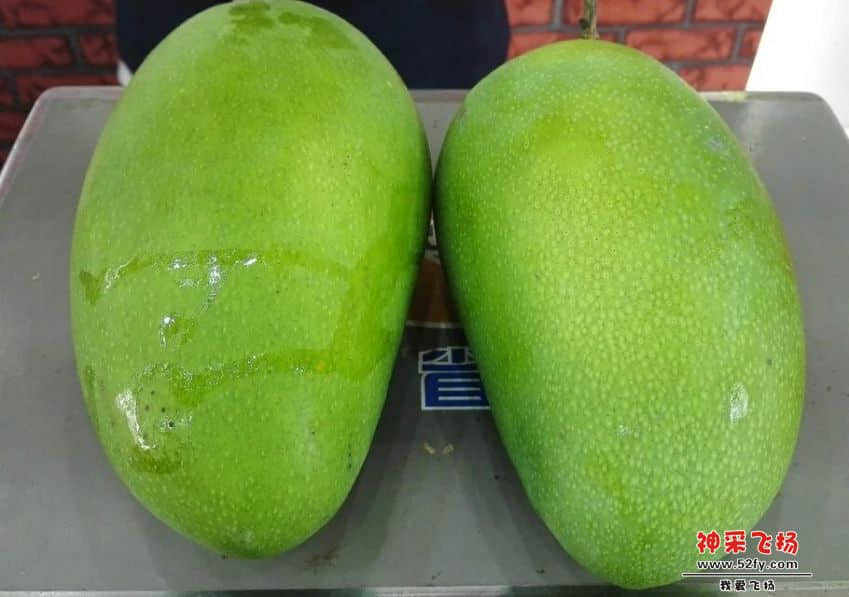 164.jpg