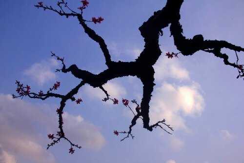 _MG_5560.jpg