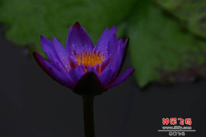 005939zcu2bddqdk5g9nnd.JPG