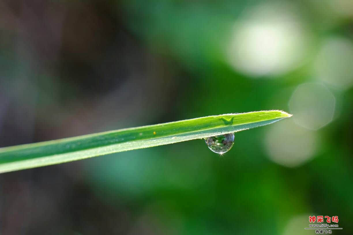 123351h730f3fs5hffeds0.JPG