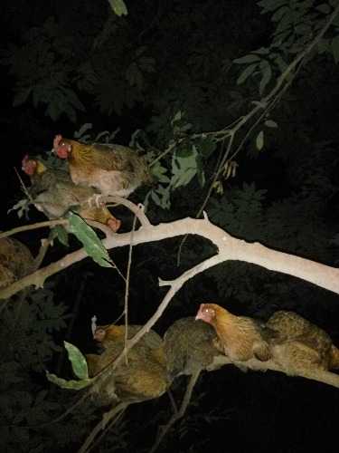 IMG_20160912_204523.jpg