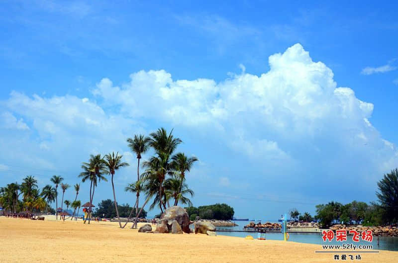 DSC_5526.jpg