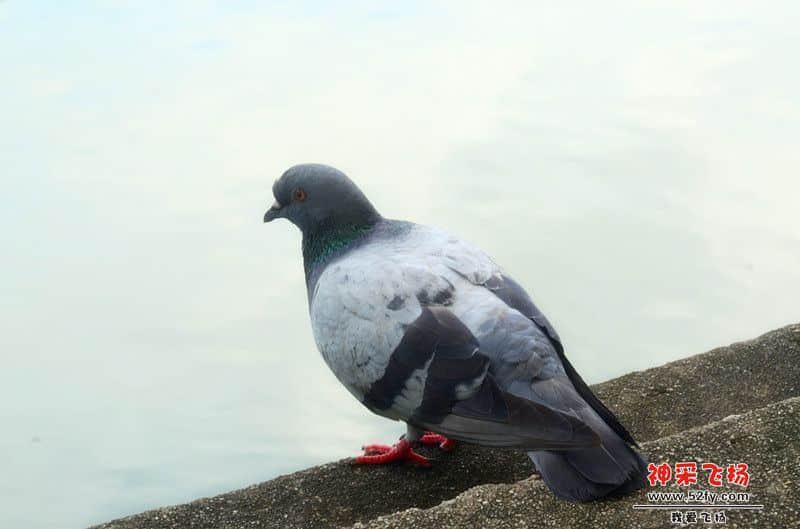 DSC_5580.jpg
