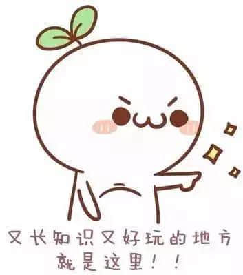 长草1.jpg