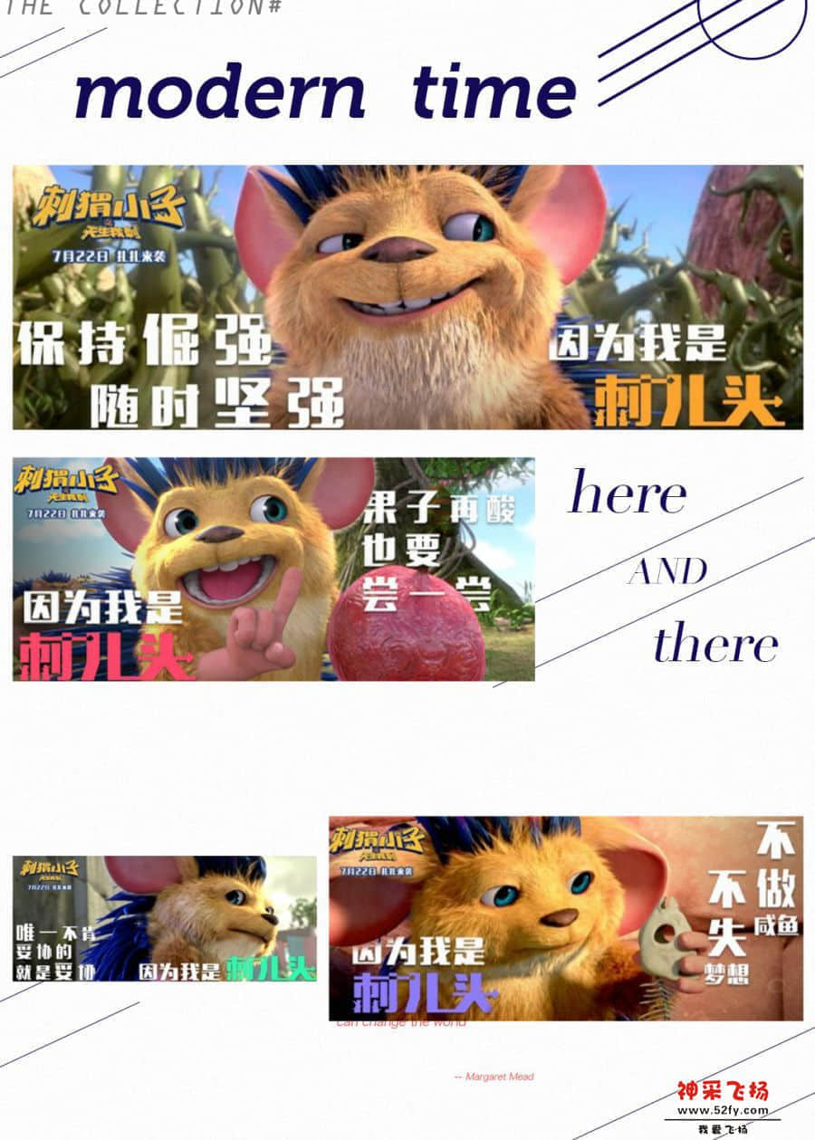 刺猬.jpg