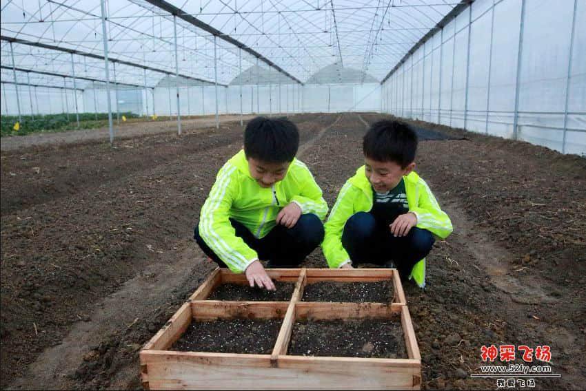 QQ截图20170517143223 副本.JPG
