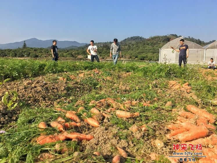 QQ截图20170718152557_看图王.jpg