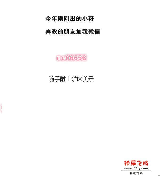 02.jpg
