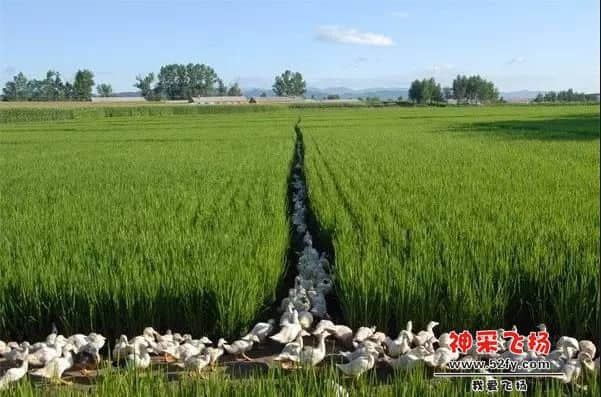 QQ截图20170502151514 副本.jpg
