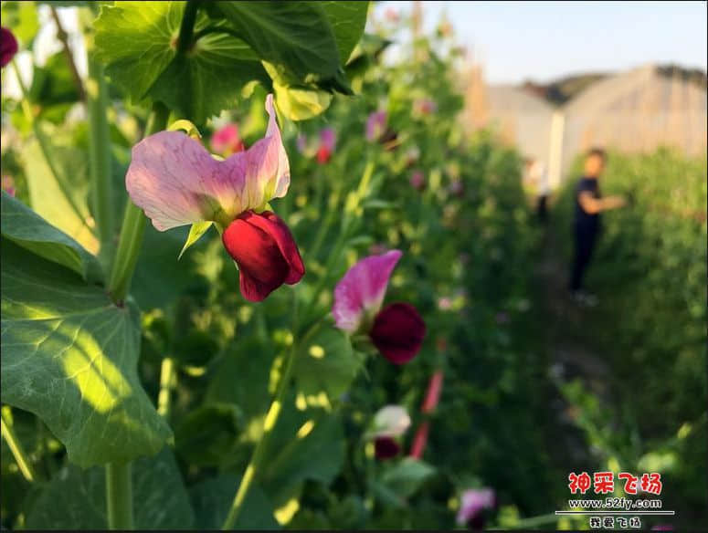 QQ截图20170502151209 副本.jpg