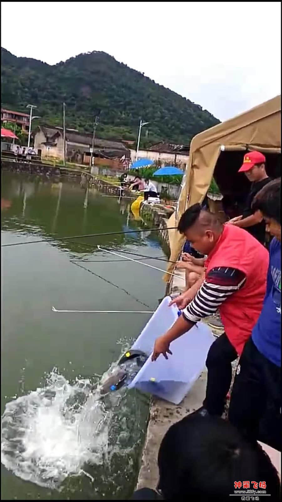 微信图片_20190715151032.jpg
