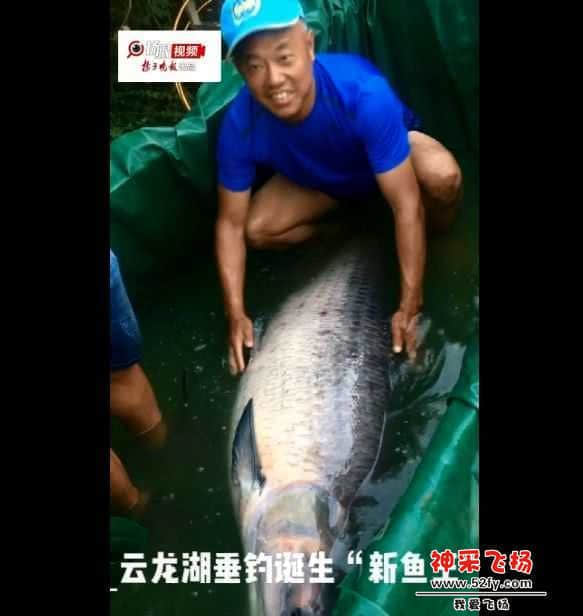 wechat_upload15669092705d652356762e9
