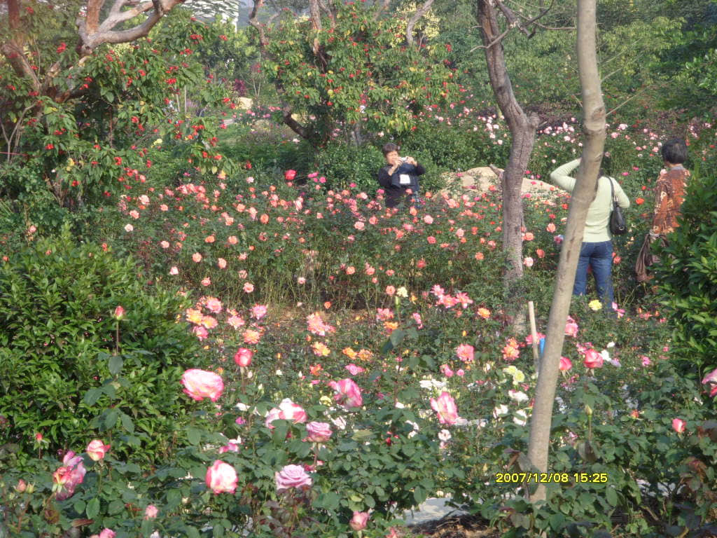 照片 170.jpg