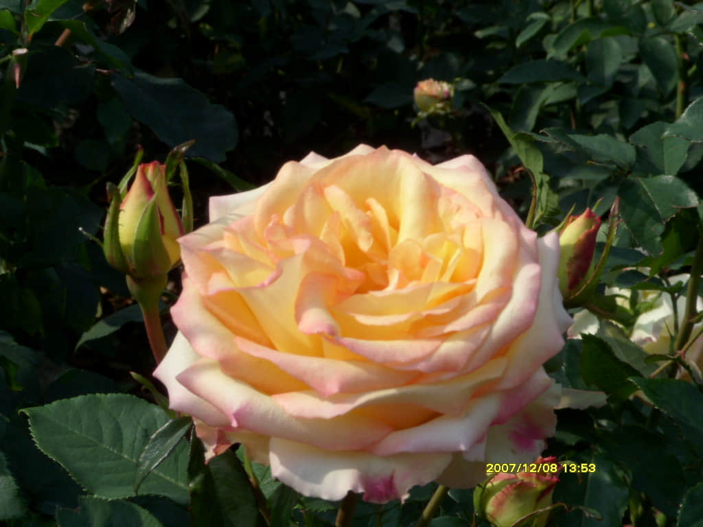 照片 074.jpg