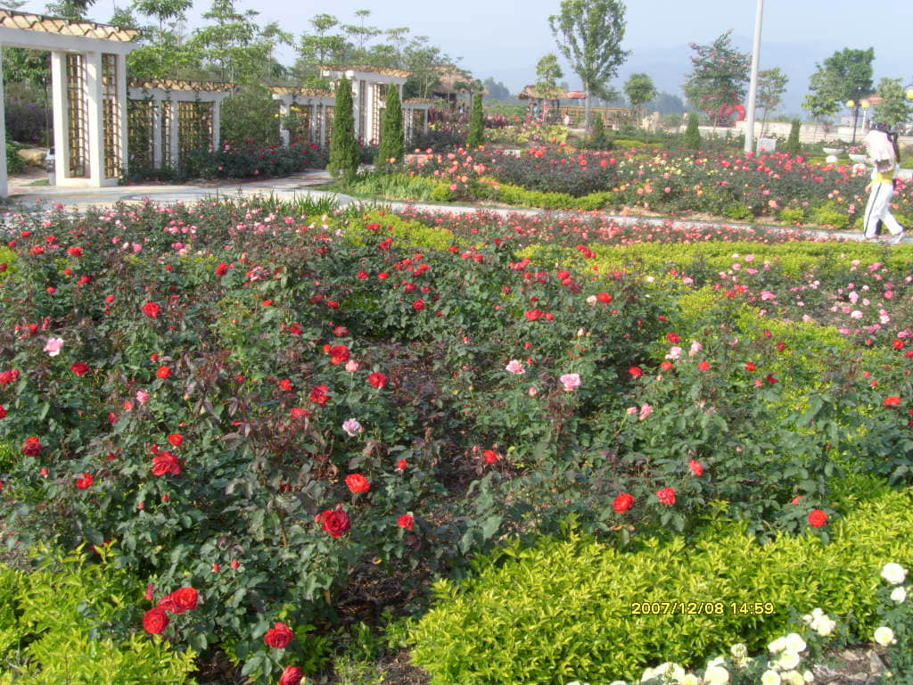 照片 156.jpg