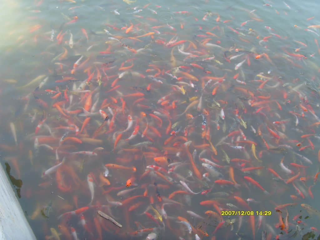 照片 123.jpg