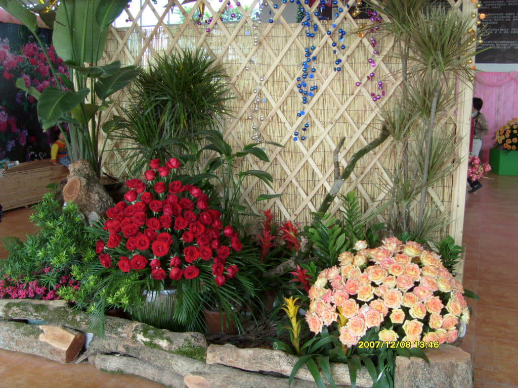 照片 057.jpg