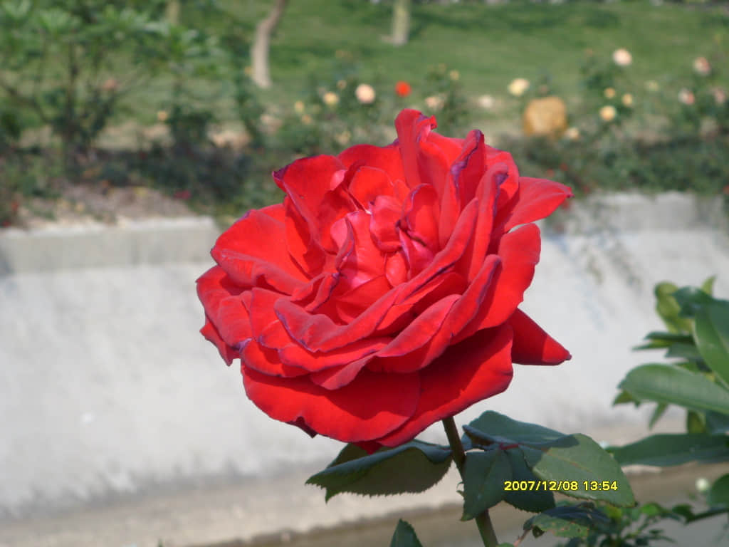 照片 075.jpg