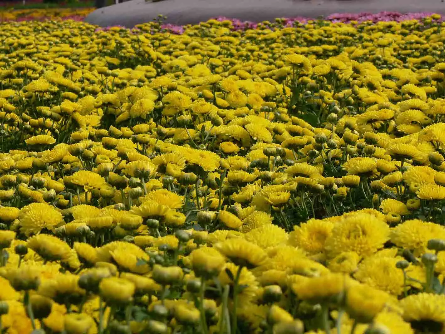 P1060031.webp