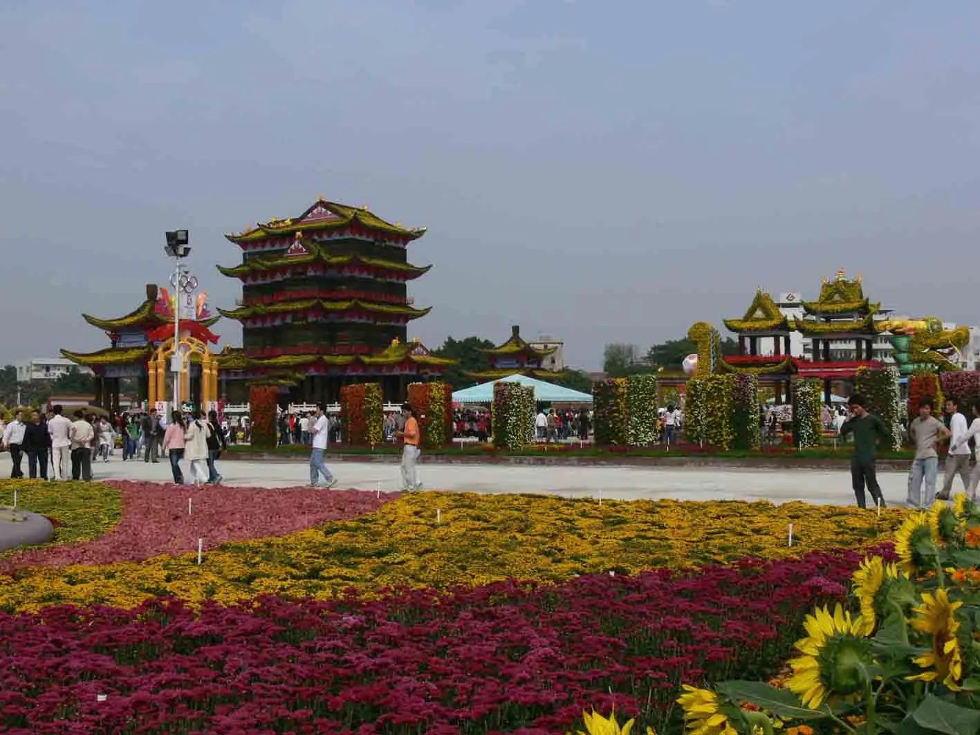 P1060034.webp