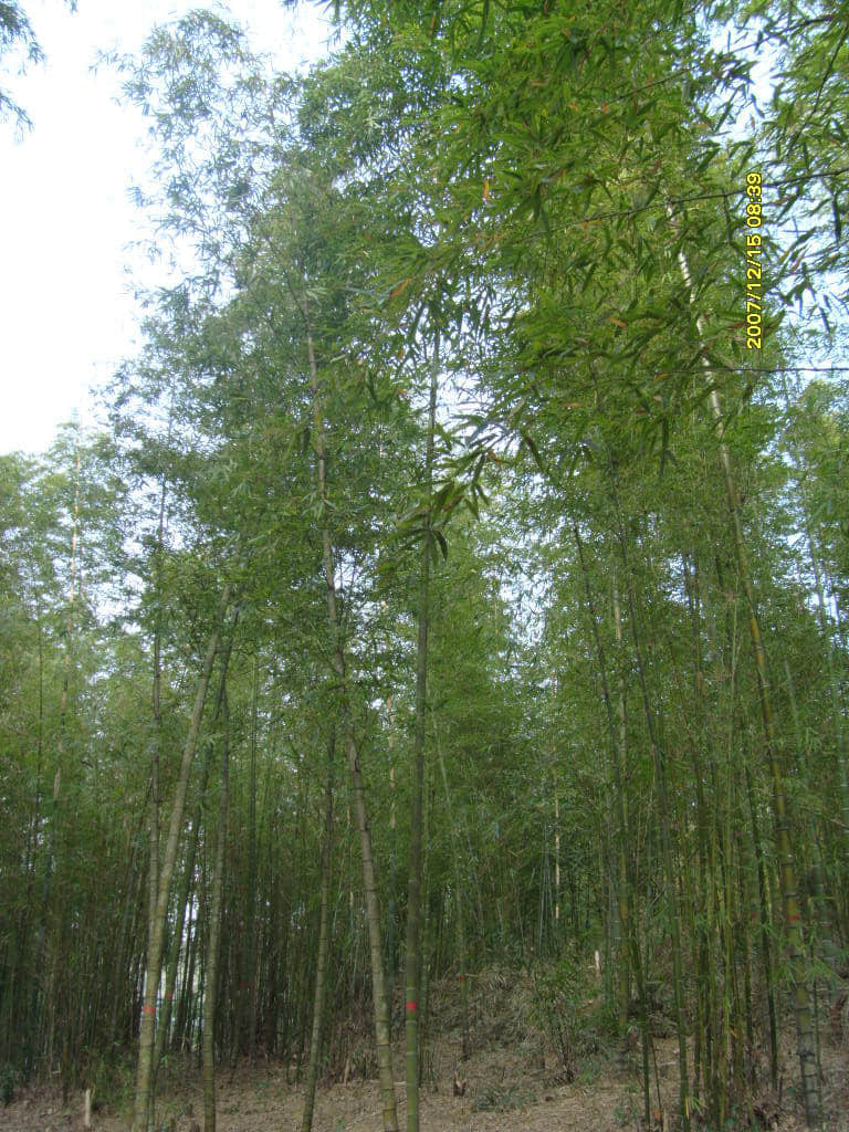 照片 069.jpg