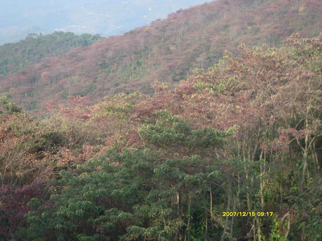 照片 079.jpg