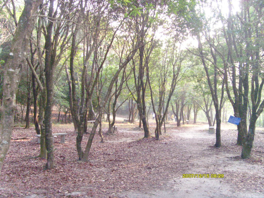 照片 055.jpg