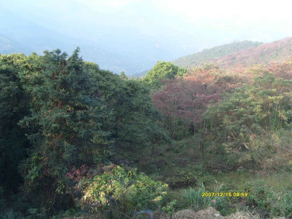 照片 075.jpg