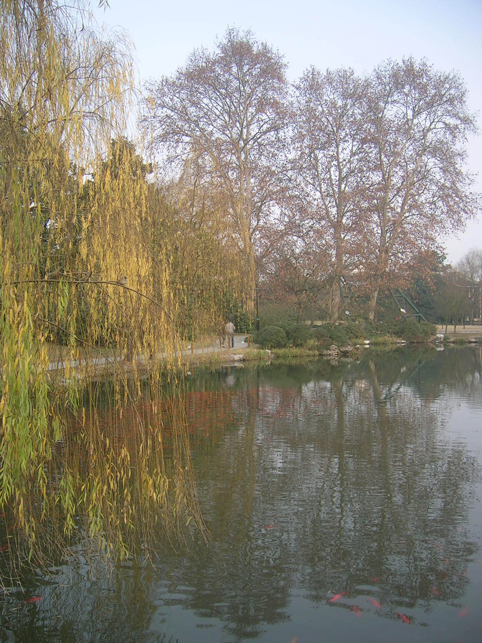 DSCN5117.JPG