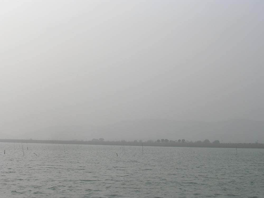DSCN5246.jpg