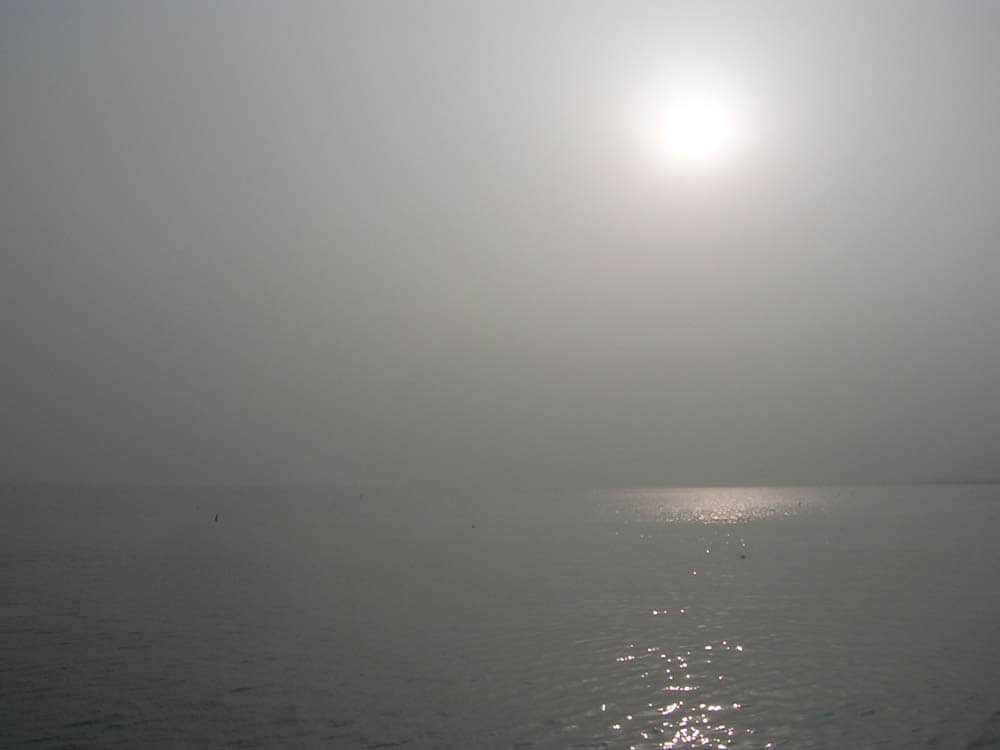 DSCN5242.jpg