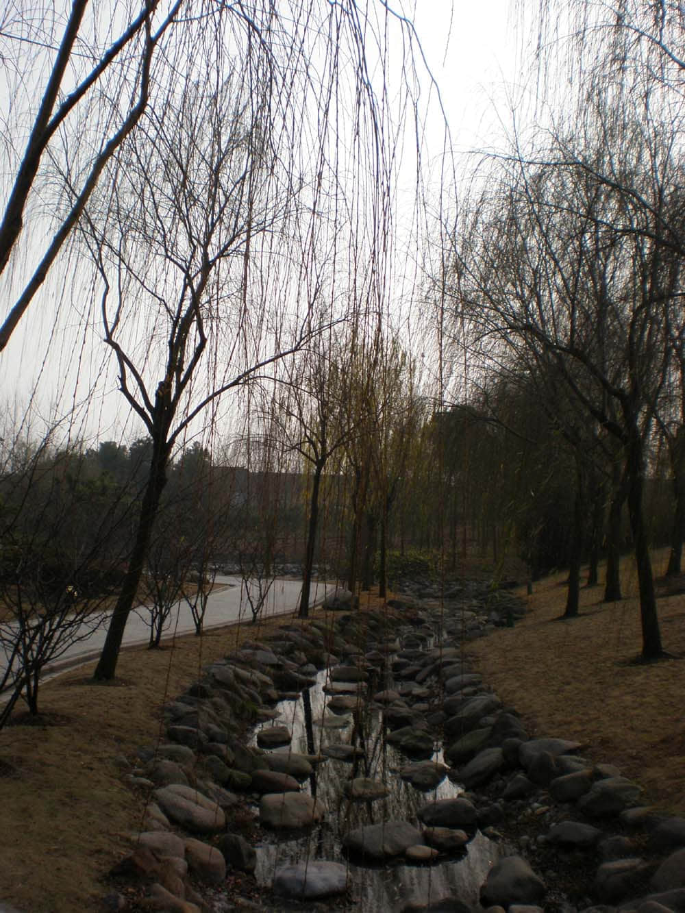 PC290227.jpg