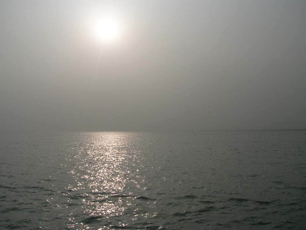 DSCN5254.jpg