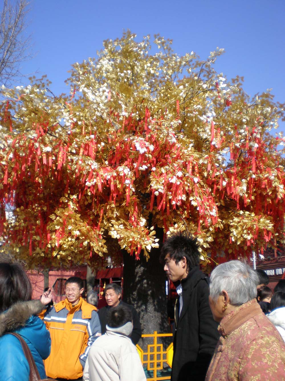 幸运树