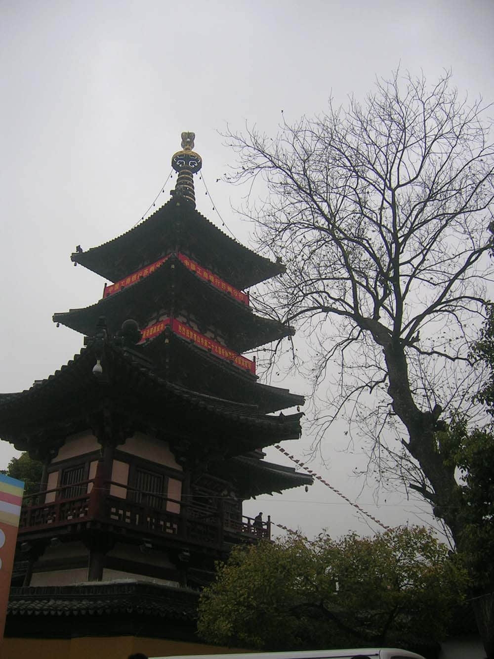 DSCN5220.jpg