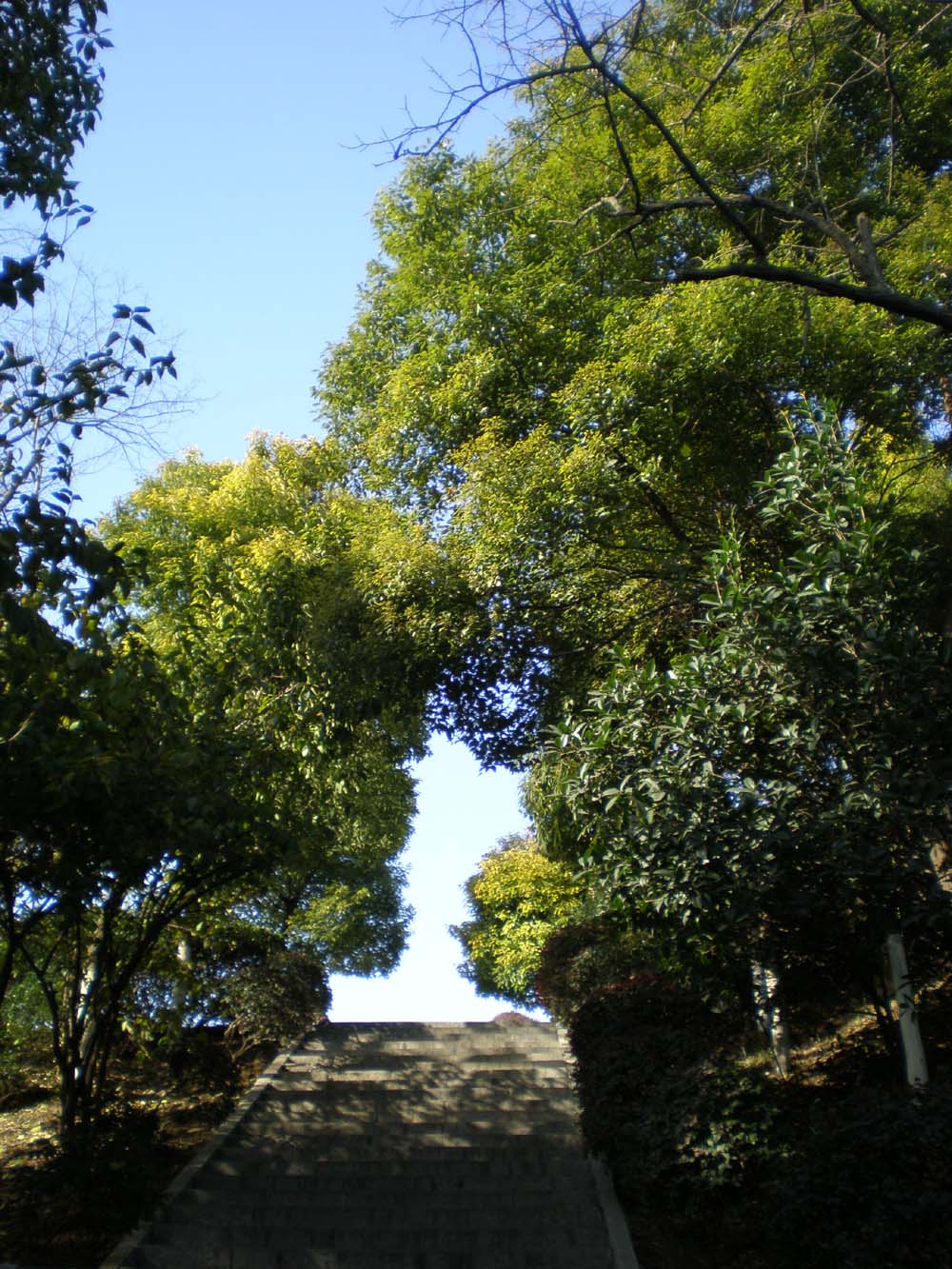 PC300277.jpg