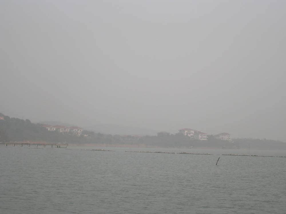DSCN5241.jpg