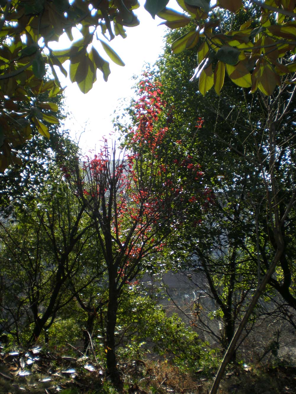 PC300279.jpg