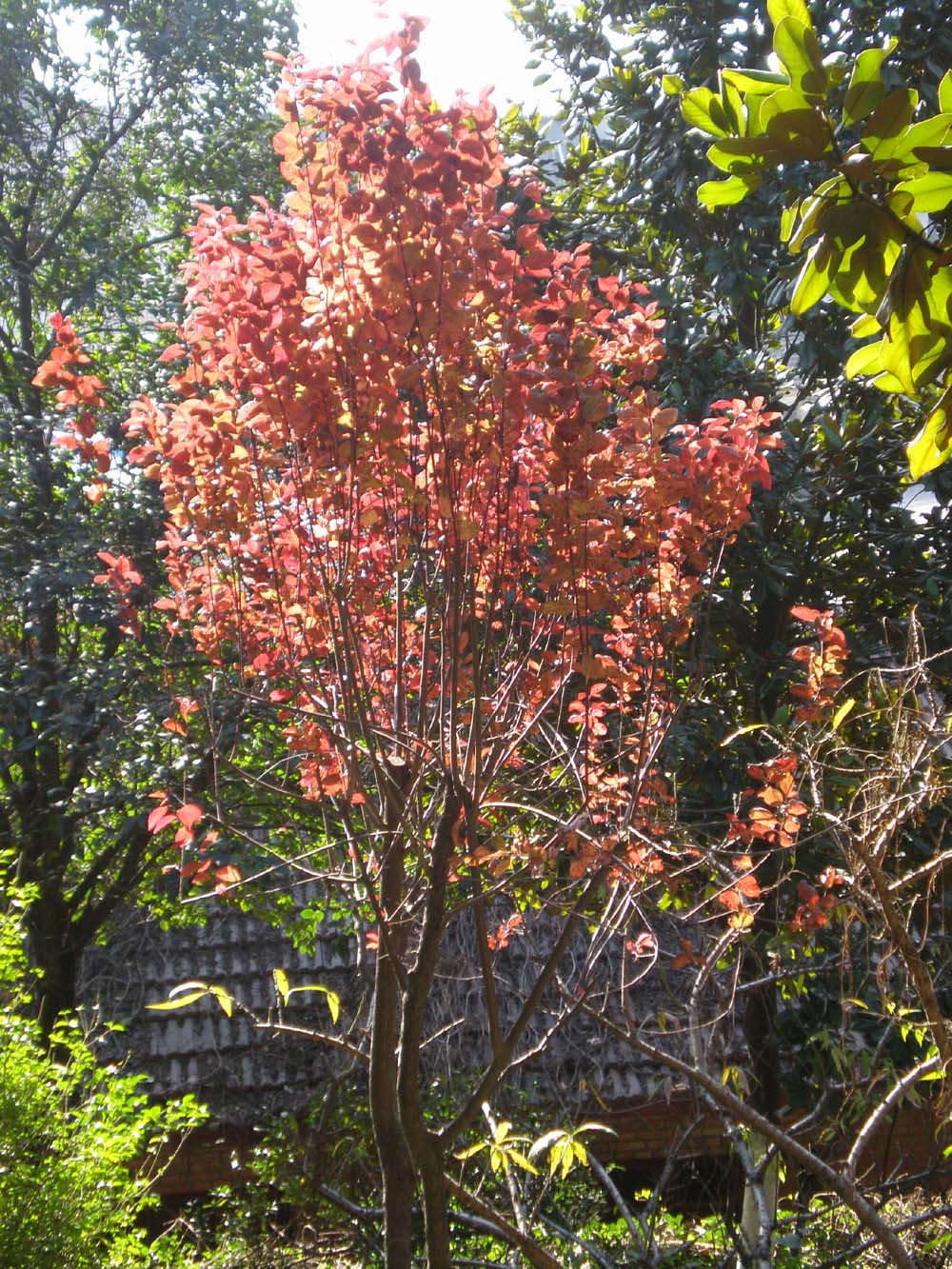 PC300282.jpg