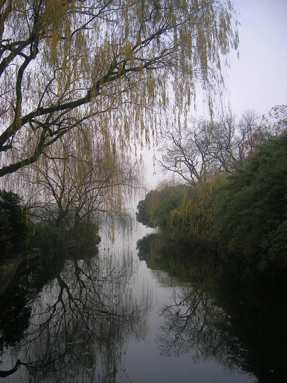 西湖３