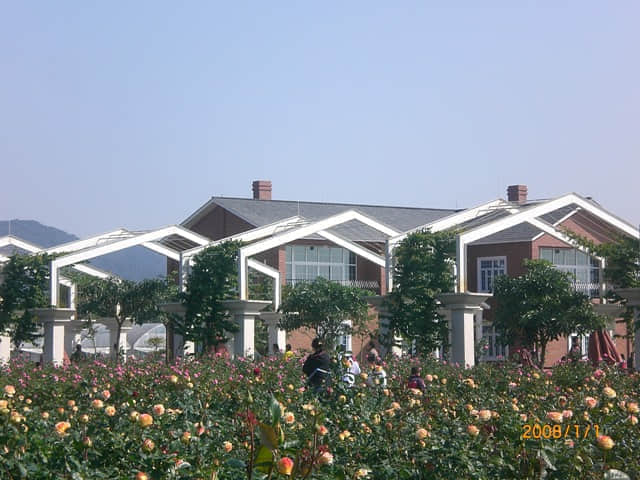 CIMG4773.JPG