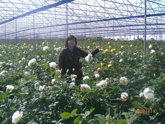 CIMG4835.JPG