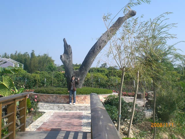 CIMG4922.JPG