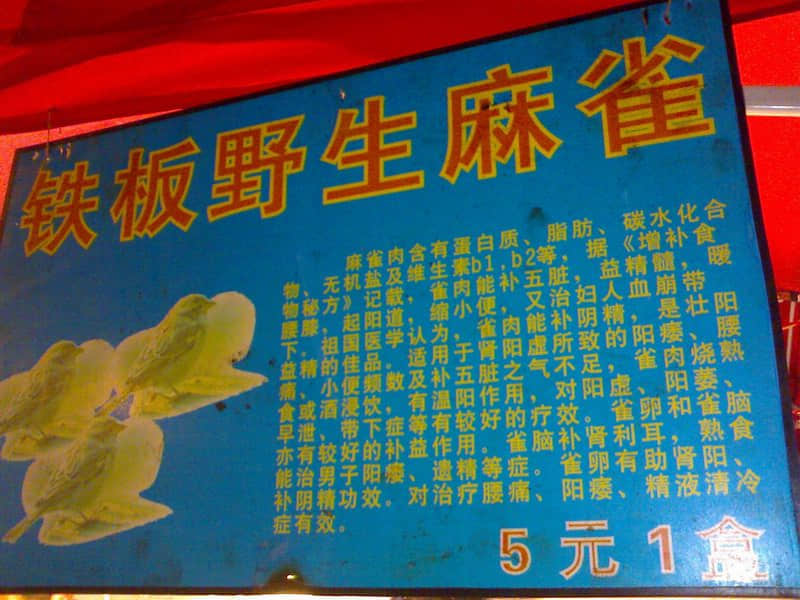 20080203019.jpg