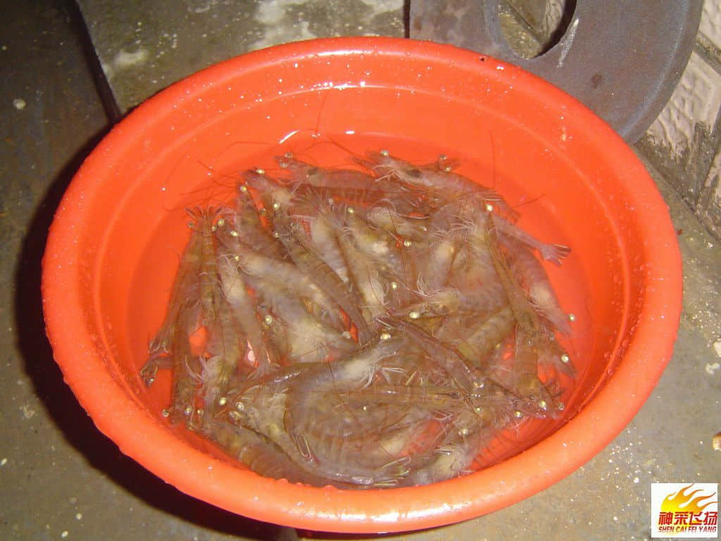 烹饪美食26.JPG