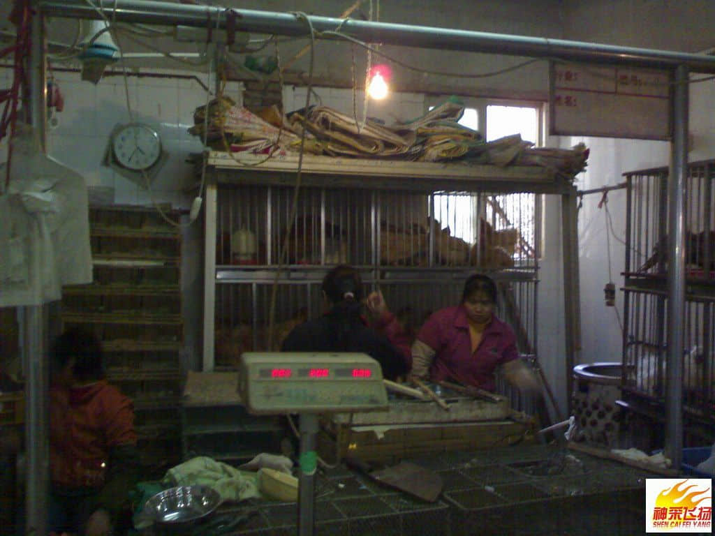 烹饪美食0520080219068.JPG